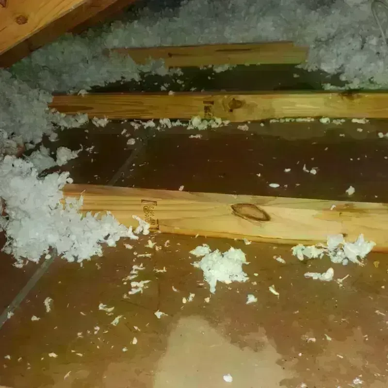 Attic Water Damage in Tipton, IN